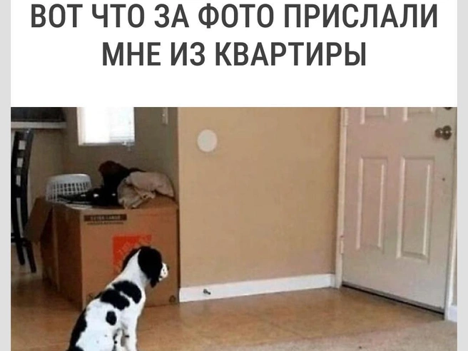А куда ты ушла, мама? | Источник: Городские медиа