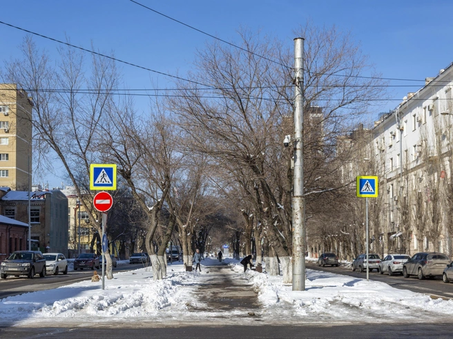 Бульвар на Профсоюзной улице в Волгограде готовят к масштабному преобразованию в благоустроенный сквер. | Источник: Константин Завриков / V1.RU