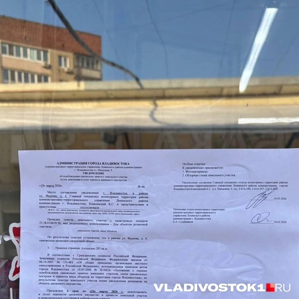 Источник: Елена Буйвол / VLADIVOSTOK1.RU