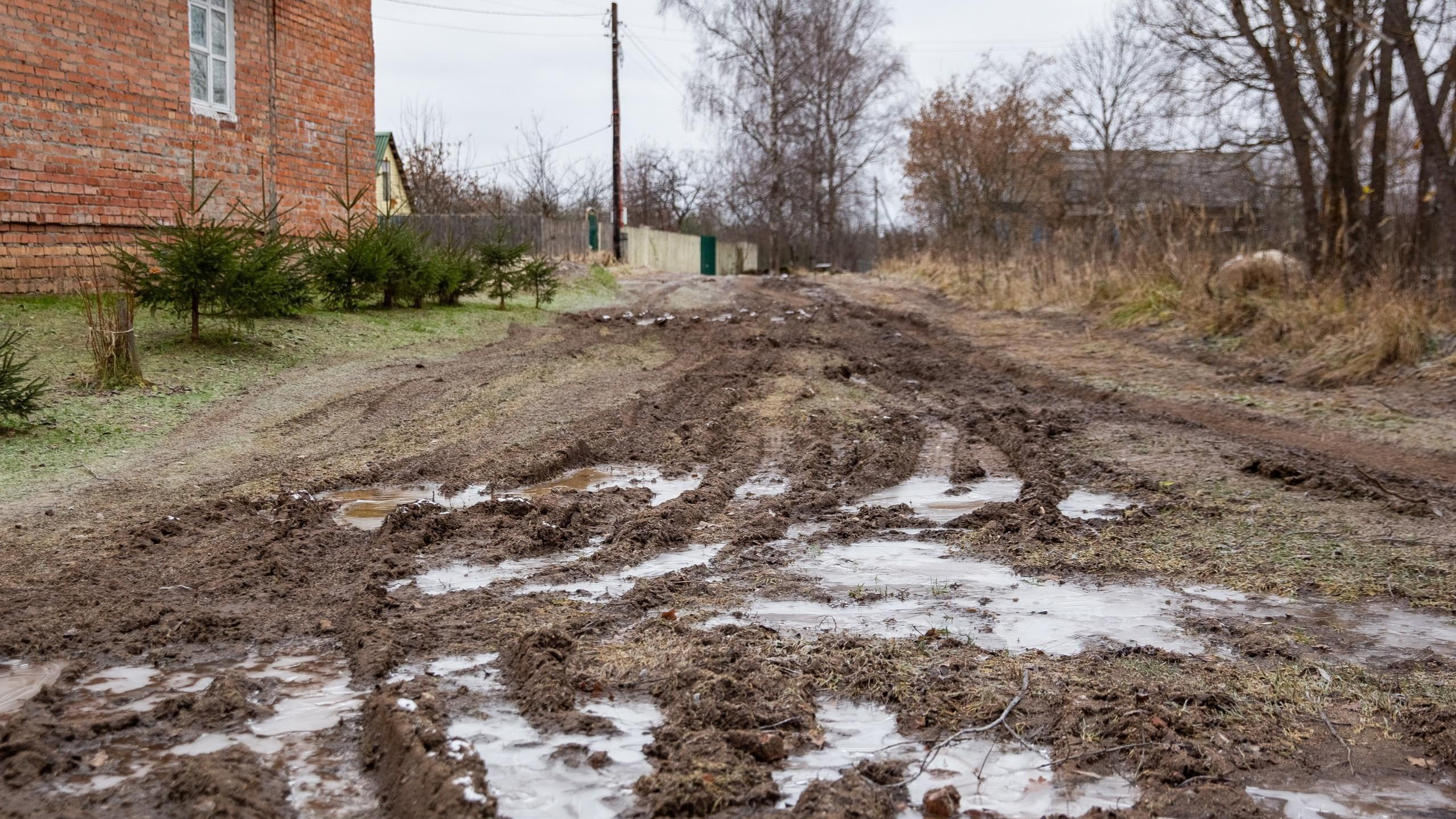 Душили шнурками жену и дочь: в Ярославской области знакомый заказал убийство фермера