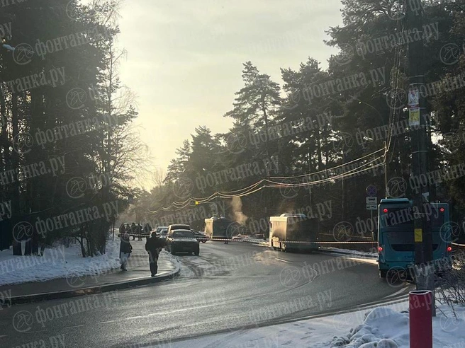 В Сестрорецке перекрыли дорогу у больницы из-за подозрительной коробки | Источник: Читатель «Фонтанки»