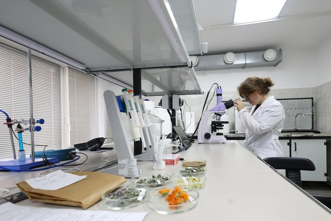 Источник: Бурятская ГСХА