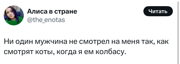 Источник: X (Twitter)