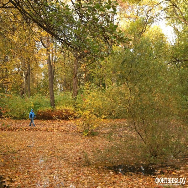 Источник: Марина Мамонтова / FONTANKA.RU