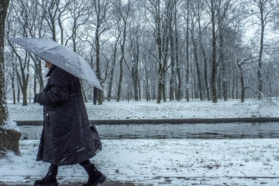 Погода в Алтайском крае на выходных