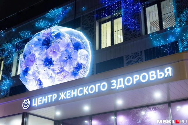 Источник: Дмитрий Толстошеев / MSK1.RU
