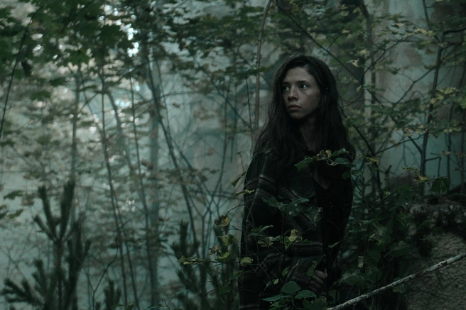 Источник: пресс-служба Wink