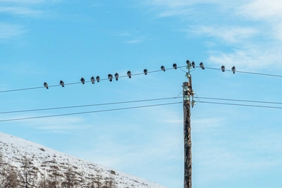 В Рязани два дня не будет света на нескольких улицах