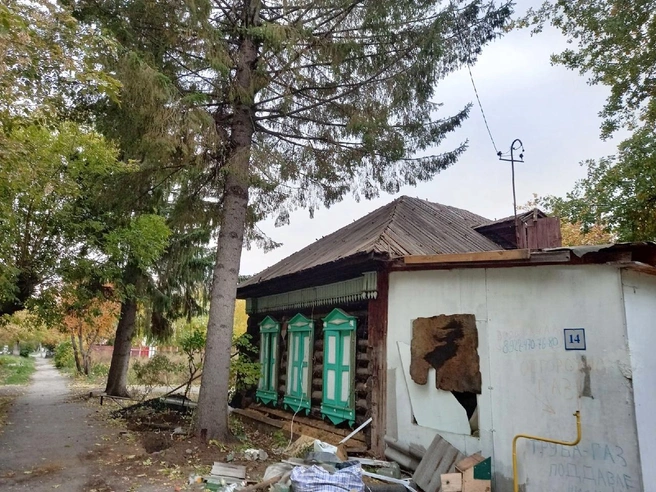 Ели росли в палисаднике дома на улице Минской | Источник: Юлия Кондинкина