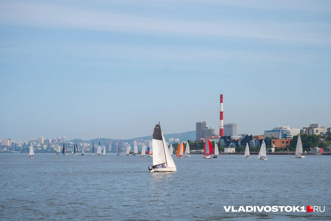 Источник: Елена Буйвол / VLADIVOSTOK1.RU