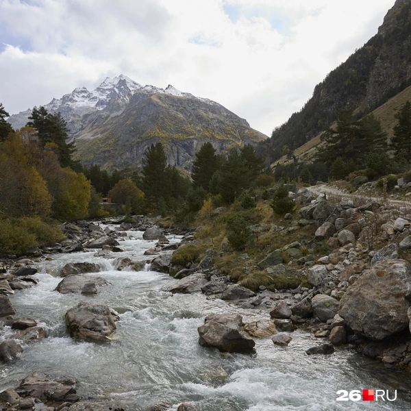 Такая прогулка точно не подойдет для детей | Источник: Иван Высочинский / 26.RU