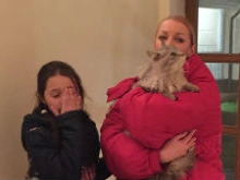 Блудный кот Анастасии Волочковой вернулся к хозяйке