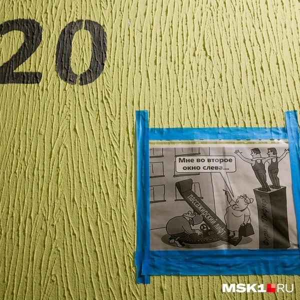 В пролетах между этажами можно увидеть и карикатуры, и красивые иллюстрации | Источник: Артем Устюжанин / MSK1.RU