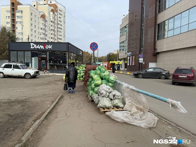 Стихийный рынок напротив ТЦ «Район» | Источник: Полина Шевчукова / NGS22.RU