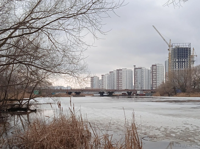 В Ульяновск вернулась зима, но не надолго  | Источник: Дмитрий Сильнов