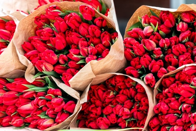 Как отдыхаем на 8 Марта в 2026 году