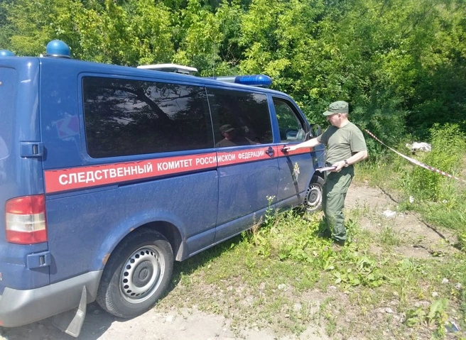 В Тульской области задержан подозреваемый в убийстве 13-летней школьницы | ya62.ru