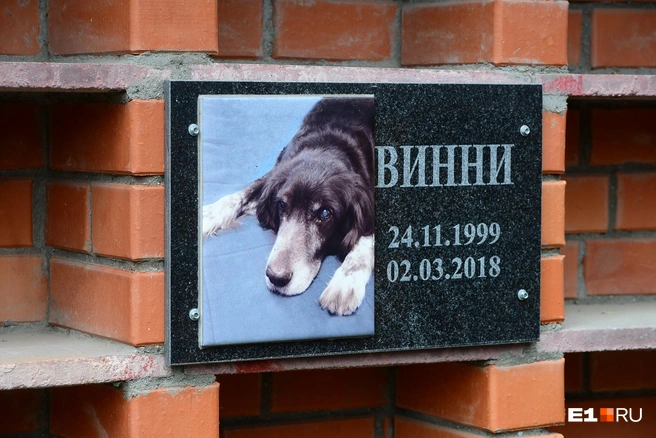 Если владельцу необходимо попрощаться с любимцем он может сделать в отдельном кабинете на территории клиники | Источник: Артём Устюжанин / E1.RU