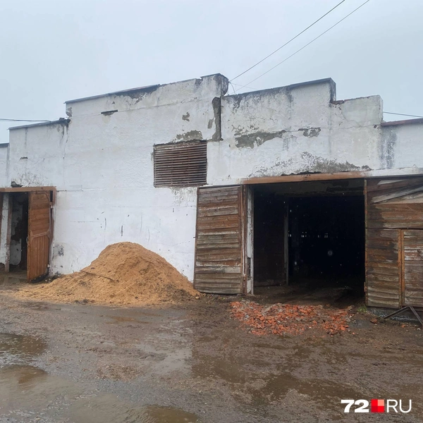 Источник: предоставлено читателем 72.RU