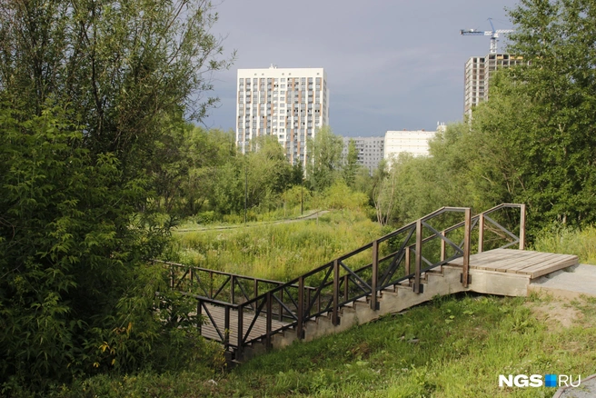 Лестница, ведущая к мосту через реку Каменку | Источник: Стас Соколов / NGS.RU