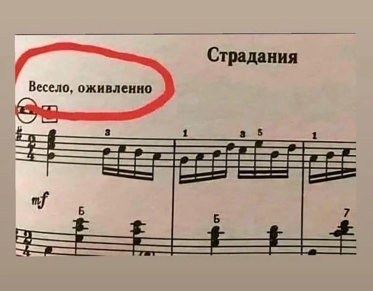 69 самых смешных картинок этим летом 2025 года и богатый внутренний пир | Источник: соцсети
