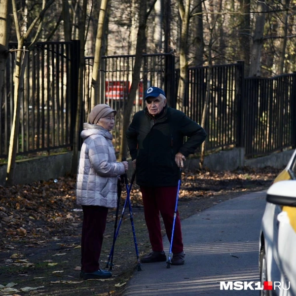 Пенсионеры гуляют по Битцевскому лесу | Источник: Дарья Шутова / MSK1.RU