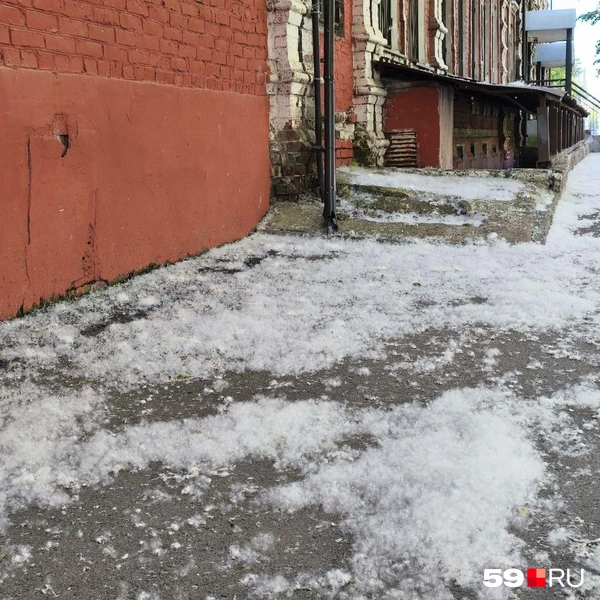 На этом фото от читателя целые пуховые сугробы | Источник: читатель 59.RU Алексей Голубцов 