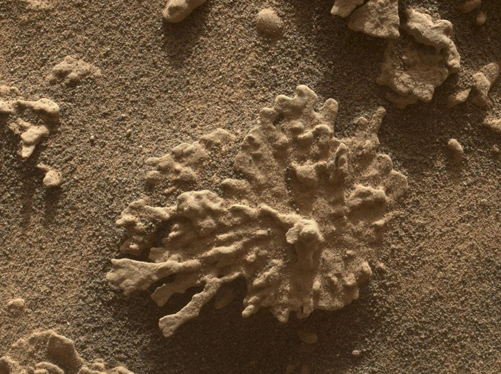 Это изображение скалы Папосо было сделано прибором MAHLI марсохода Curiosity  | Источник: NASA / JPL-Caltech / MSSS
