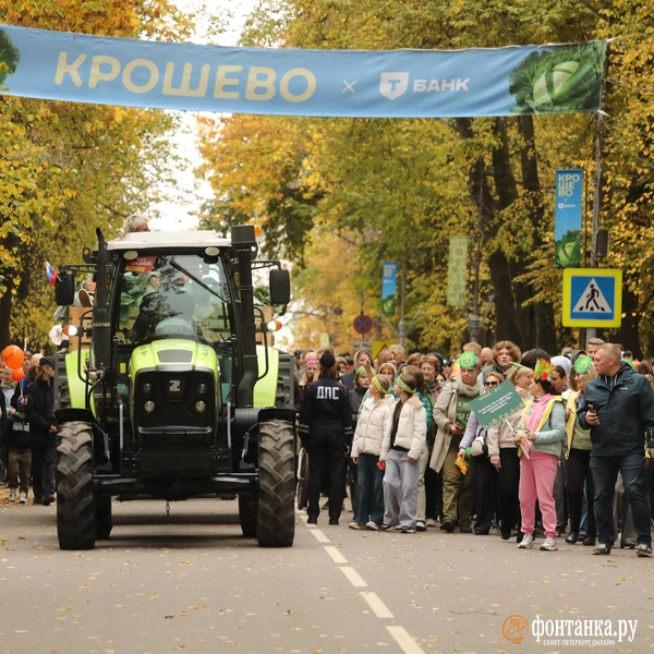Источник: Ксения Потеева / FONTANKA.RU