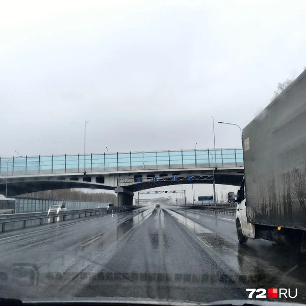 Источник: Павел Красоткин / 72.RU