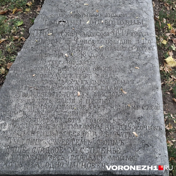 Источник: Алёна Воропаева / Voronezh1.ru
