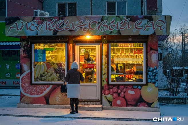 По словам мэра, киоски должны быть лишь там, где нет доступа к еде | Источник: Олег Федоров / CHITA.RU