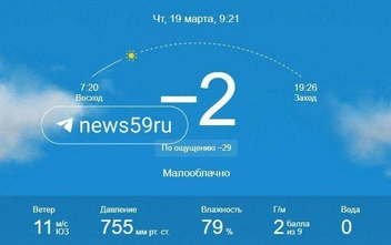 От такого прогноза снова хочется надеть теплые штаны и зимний пуховик | Источник: gismeteo.ru