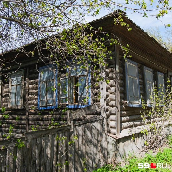 Источник: Тимофей Калмаков / 59.RU