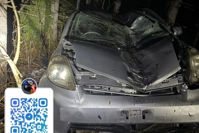 Водитель пострадал в ДТП с деревом в Углегорском районе