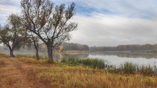 Озеро раскинулось всего в паре десятков метров от городских дорог | Источник: Ирина Голоколенова
