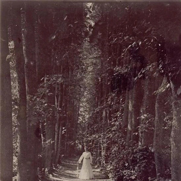 С.&nbsp;А.&nbsp;Толстая в аллее парка. 1903 г. Государственный музей-заповедник Л.&nbsp;Н.&nbsp;Толстого | Источник: пресс-служба «Росфото»