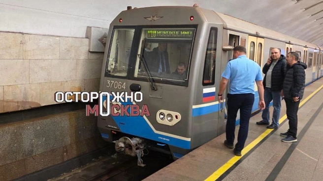 Движение на участке линии временно приостанавливали | Источник: «Осторожно, Москва» / T.me