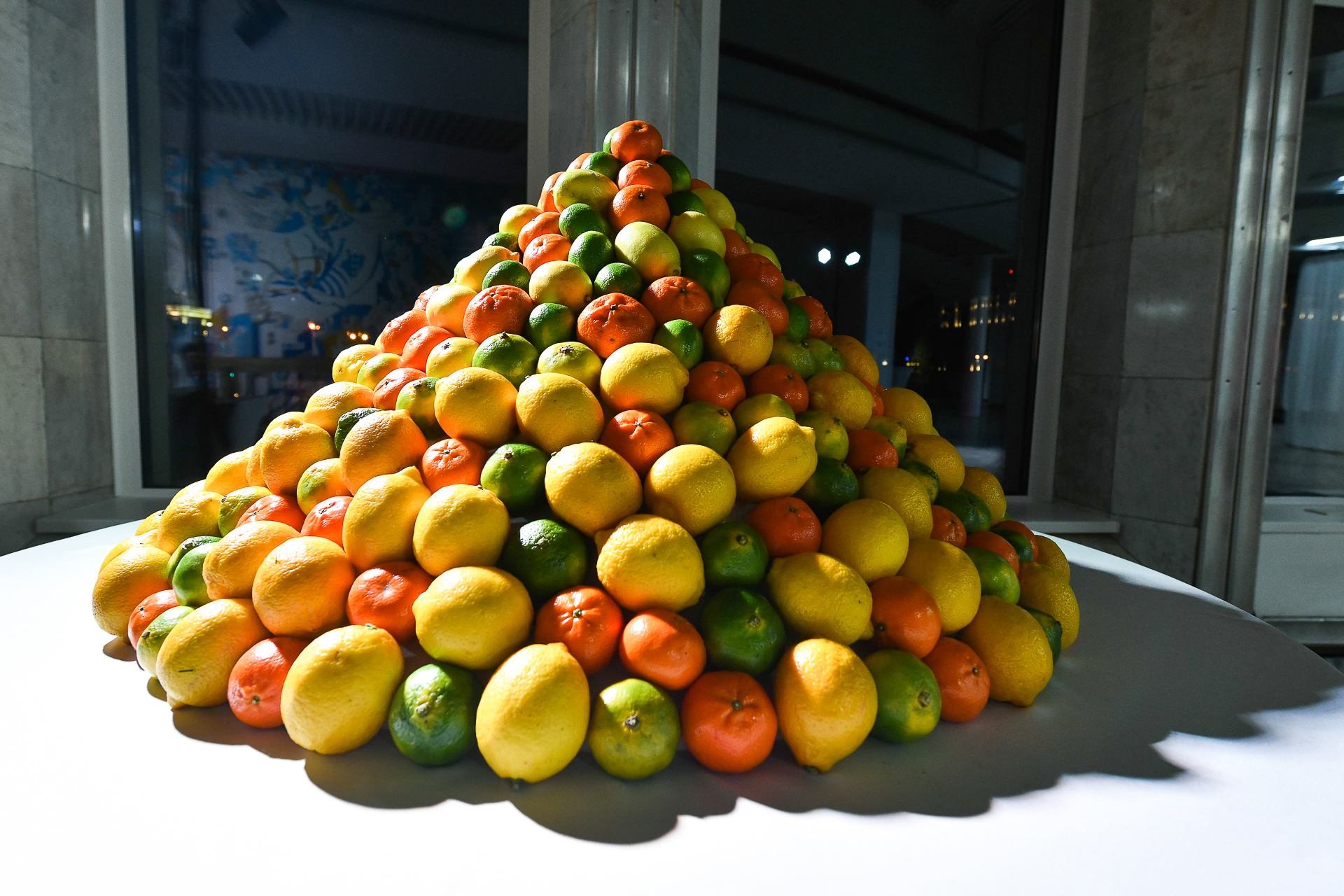 Как вырастить дома, плодоносящий манго из косточки. | Сад в доме | Дзен