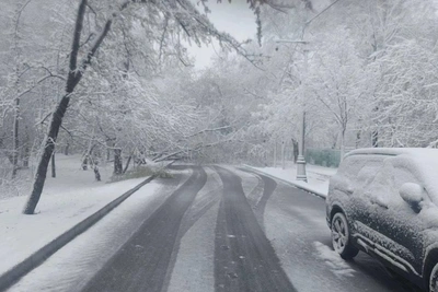 Снегопады в Москве: повлияют ли на Башкирию? Ответ синоптика
