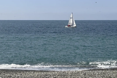 В Сочи объявлена воздушная тревога из-за БПЛА