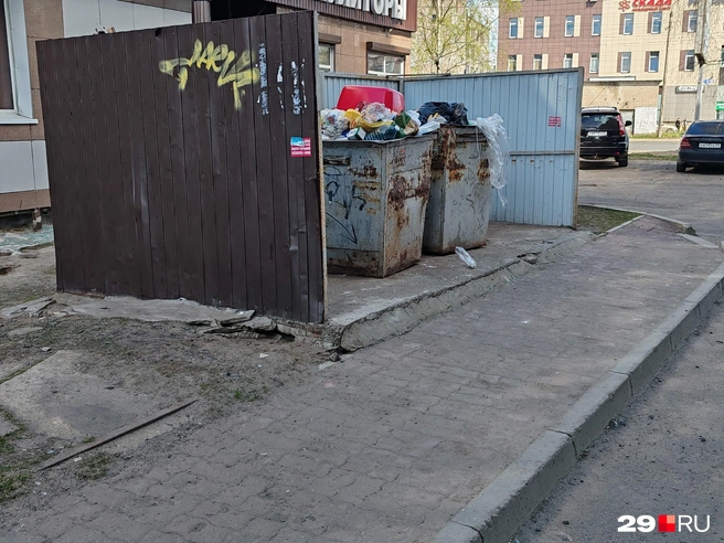 Мусорные баки стоят открытыми | Источник: Валерия Новожилова / 29.RU