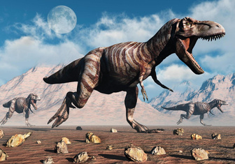 Как быстро мог бегать тираннозавр? Ученые подсчитали скорость 9-тонного убийцы