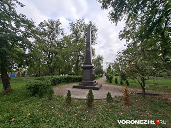 Источник: Алёна Воропаева / Voronezh1.ru