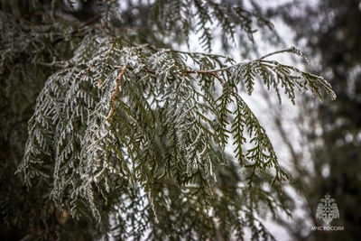 Погода с переменчивым настроением