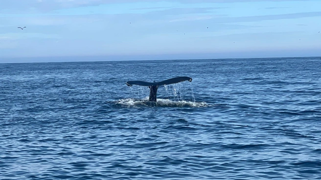 Смотреть, но не трогать | Источник: Владимир Онацкий