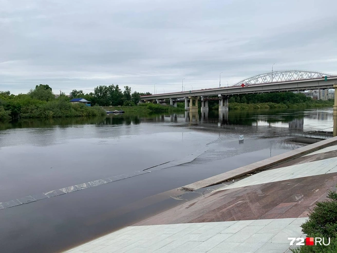 Весь первый ярус скрыт под водой | Источник: Никита Кифорук / 72.RU