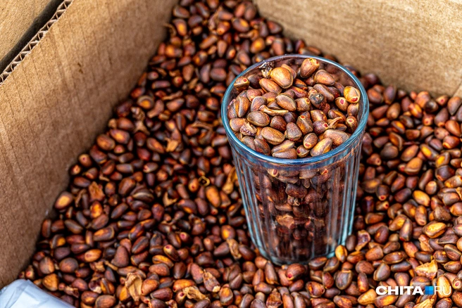 Тюменцы предупреждают, что попадаются пустые орехи | Источник: Олег Фёдоров / CHITA.RU