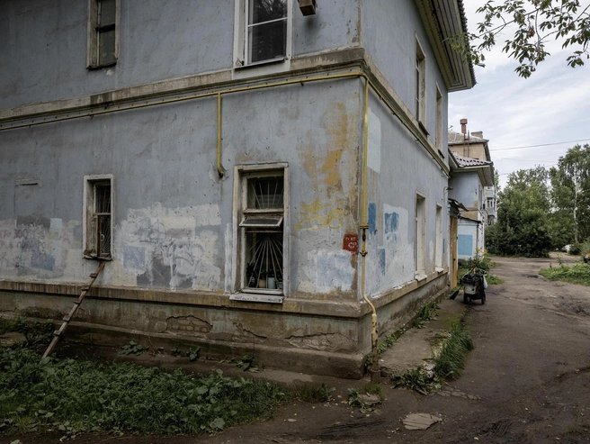 Лестница от улицы к окну первого этажа позволяет кошкам самостоятельно возвращаться домой. | Источник: Александр Куренной / 76.RU