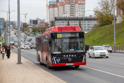 Восемь автобусных маршрутов в Перми изменят из-за ремонта Борчанинова